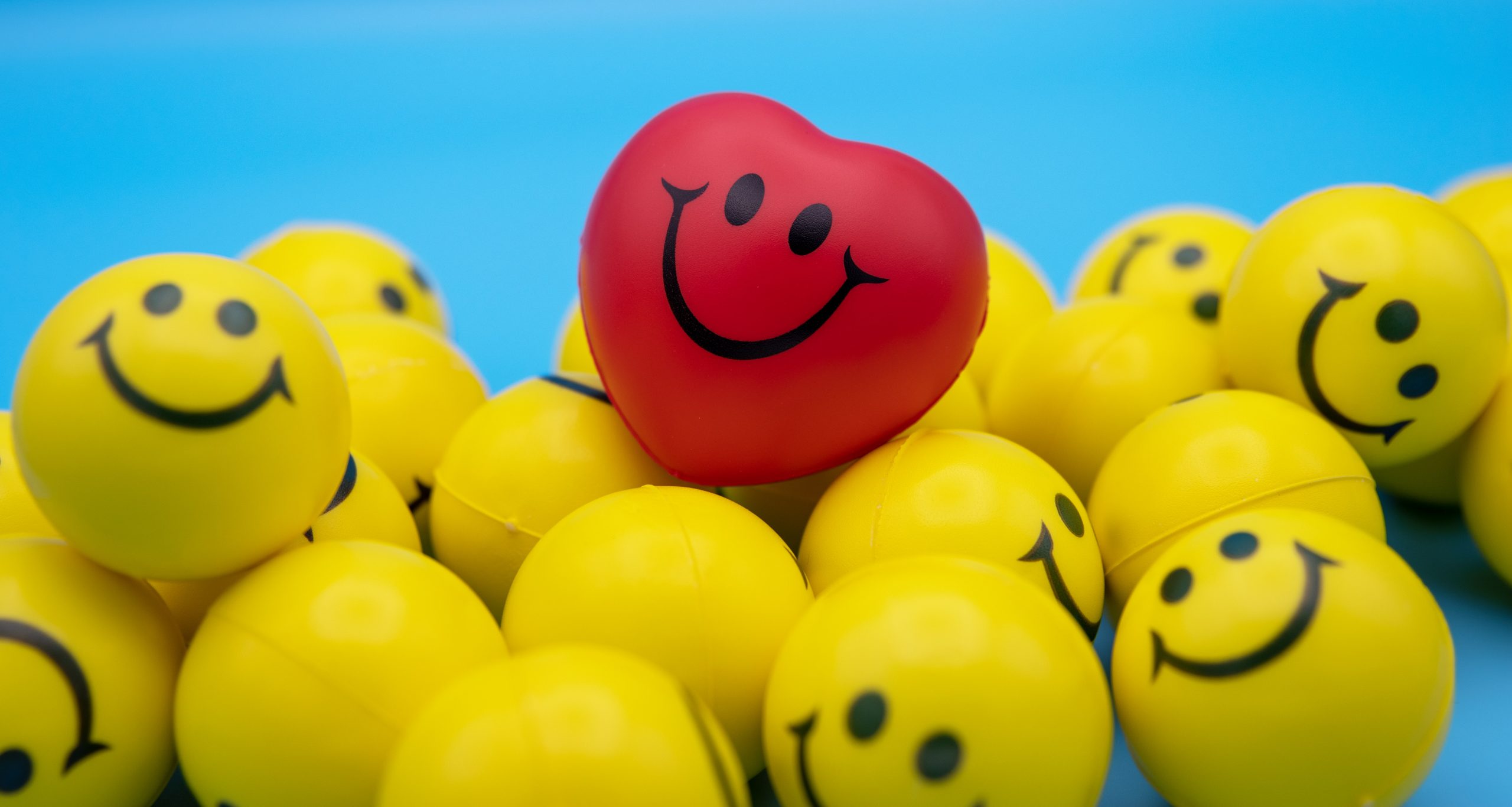 customer success